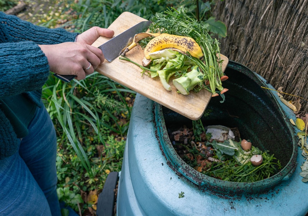 Kitchen composting and waste reduction programme at green Indian restaurant Melbourne